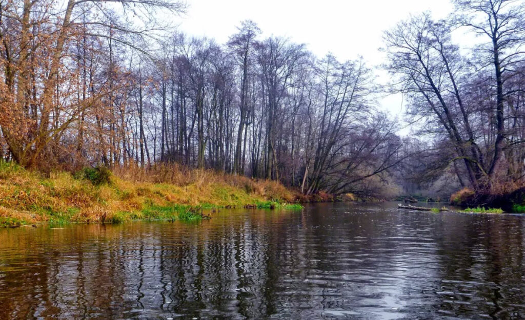 Bzura - odcinek kajakowy