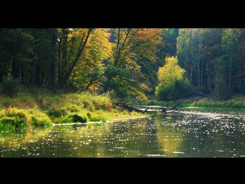 Miniatura filmu ze spływu kajakowego Pilicą