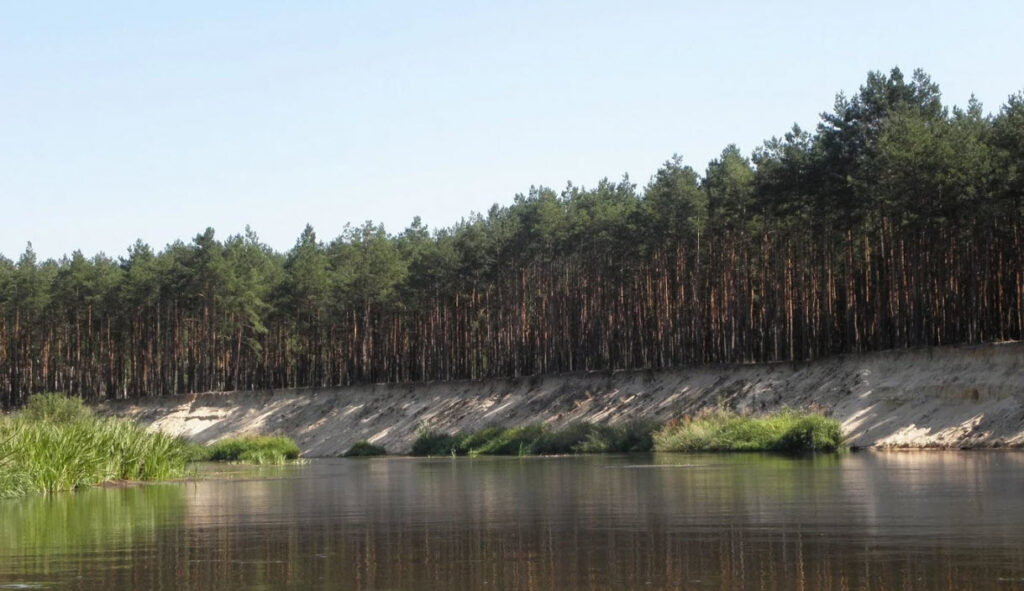Rzeka Pilica w okolicy Inowłodza